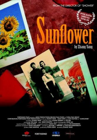 Подсолнух (фильм 2005)