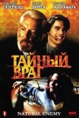 Тайный враг (фильм 1996)