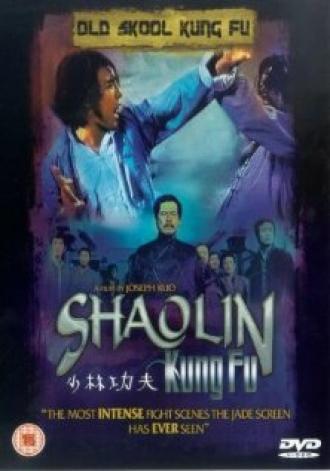 Тайное боевое искусство Шаолиня (фильм 1994)