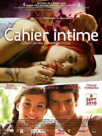 Дневники (фильм 2008)