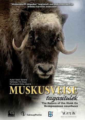 Возвращение овцебыка (фильм 2008)