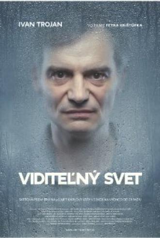 Видимый мир (фильм 2011)