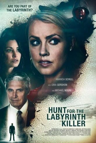 Охота на Лабиринта (фильм 2013)