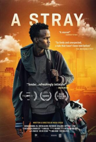 A Stray (фильм 2016)