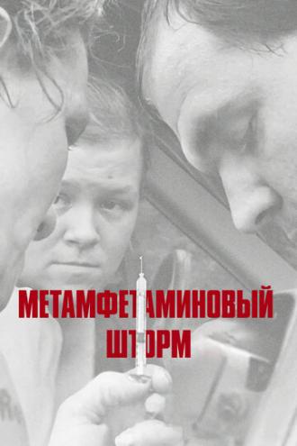 Метамфетаминовый шторм (фильм 2017)