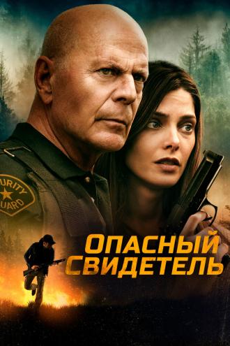 Опасный свидетель (фильм 2022)