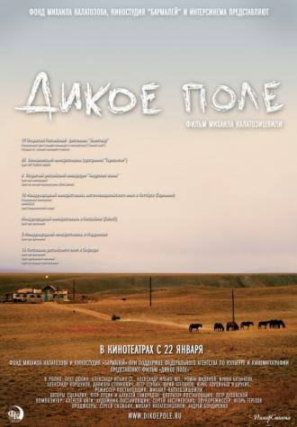 Дикое поле (фильм 2008)