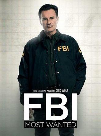 ФБР: Самые разыскиваемые преступники (сериал 2020)