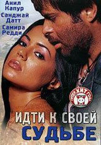 Идти к своей судьбе (фильм 2004)