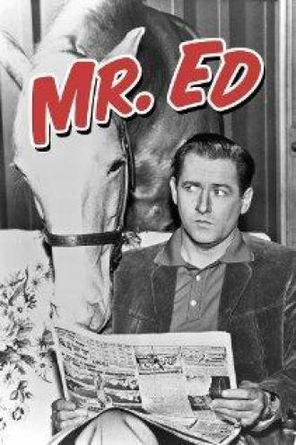 Мистер Эд (сериал 1958)