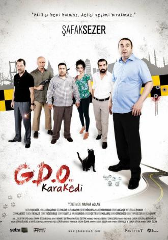 Чёрная кошка (фильм 2013)