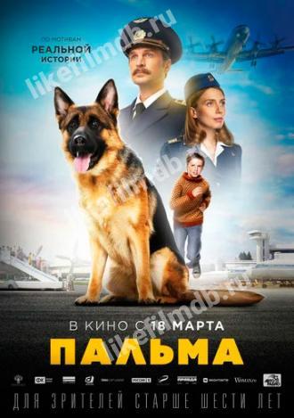 Пальма (фильм 2020)