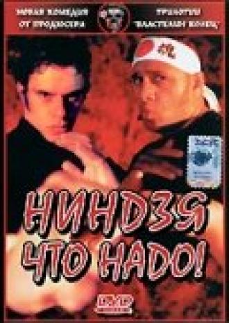 Ниндзя что надо! (фильм 2002)