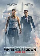 Штурм Белого дома (2013)