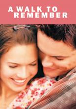 Спеши любить (2002)