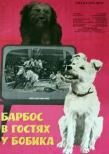 Барбос в гостях у Бобика (1977)