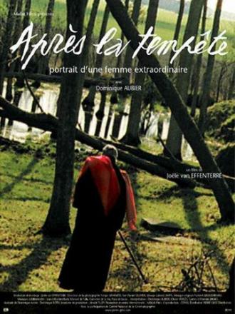 Après la tempête (фильм 2001)