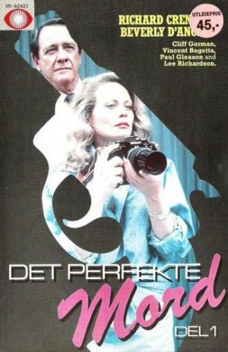 Двойные неприятности (сериал 1985)