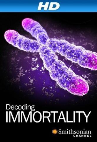 Immortal (фильм 2010)