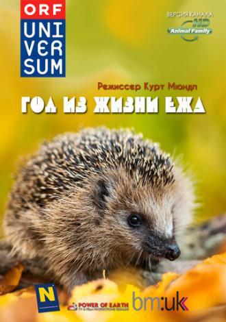 Год из жизни ежа (фильм 2009)