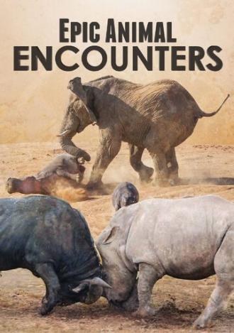 Epic Animal Encounters (сериал 2019)