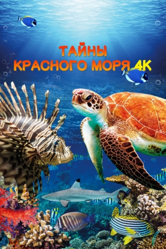 Тайны Красного моря (2016)