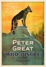 Wild Justice 1925
