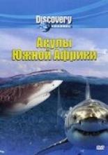 Discovery: Акулы Южной Африки 2001