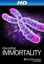 Immortal (2010)