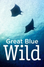 Great Blue Wild 2015