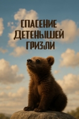 Спасение детенышей гризли