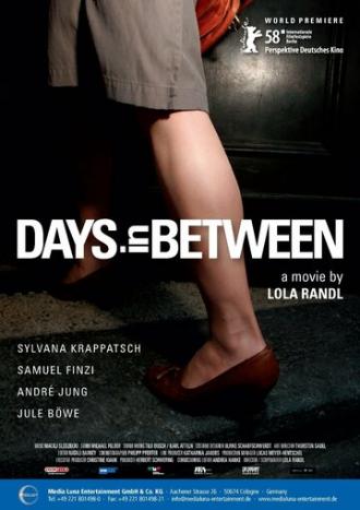 Посетительница (фильм 2008)