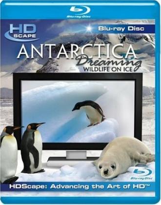 Антарктика — Дикая жизнь на льду (2006)