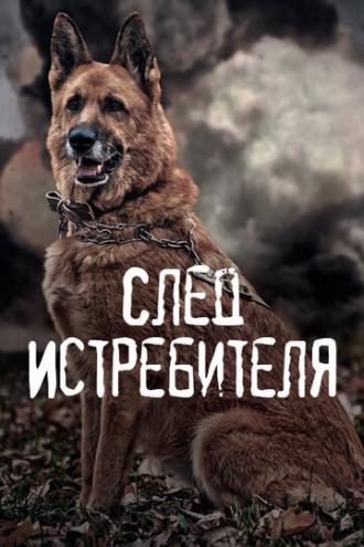 След Истребителя (фильм 2015)