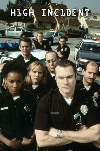 Главный инцидент (сериал 1996)