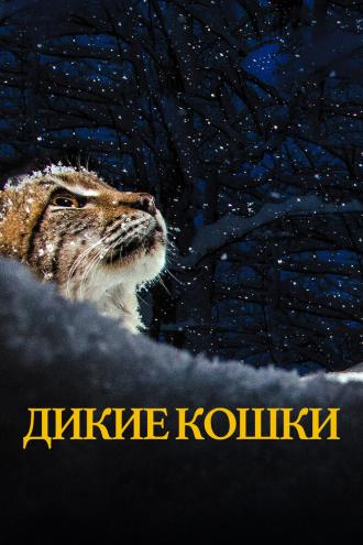 Дикие кошки (фильм 2021)