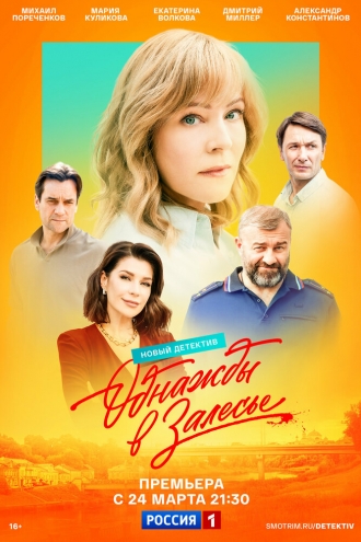 Однажды в Залесье (сериал 2024)