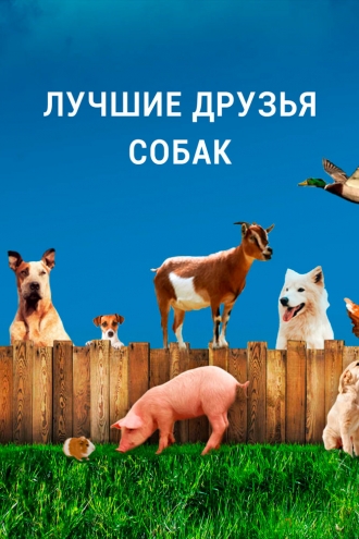 Лучшие друзья собак (2014)