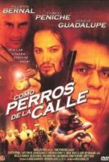 Como perros de la calle 2002