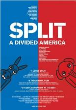 Split: A Divided America 2008