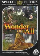 Wonder of It All 1974