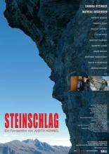 Steinschlag 2005
