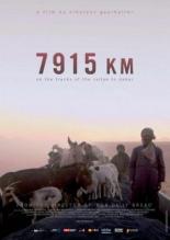 7915 километров 2008
