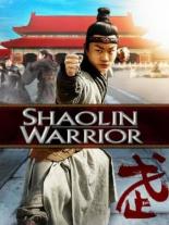 Kungfu Kid 2013