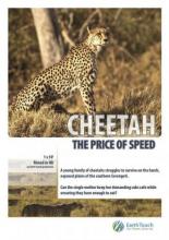 Cheetah: The Price of Speed (2010)