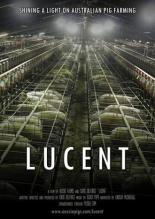 Lucent 2014