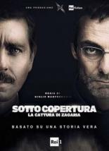 Sotto copertura: La cattura di Zagaria (2017)
