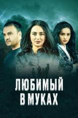 Любимый в муках (2017)