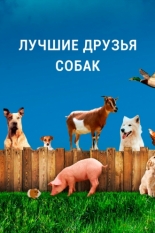 Лучшие друзья собак 2014
