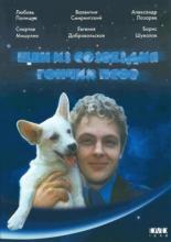 Щен из созвездия Гончих псов (1991)